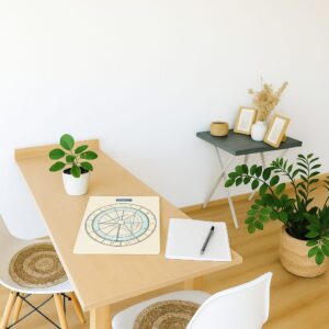 Interpretación de Carta Natal + Sesión Individual